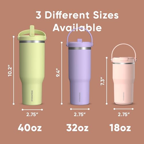Hydrapeak Nomad 24 oz Tumbler with Handle and Straw Lid, Leakproof, Double Insulated, 24oz Cup Stainless Steel (Blush)