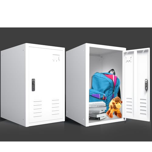 3.5CUB Locker Storage Cabinet, 19.7