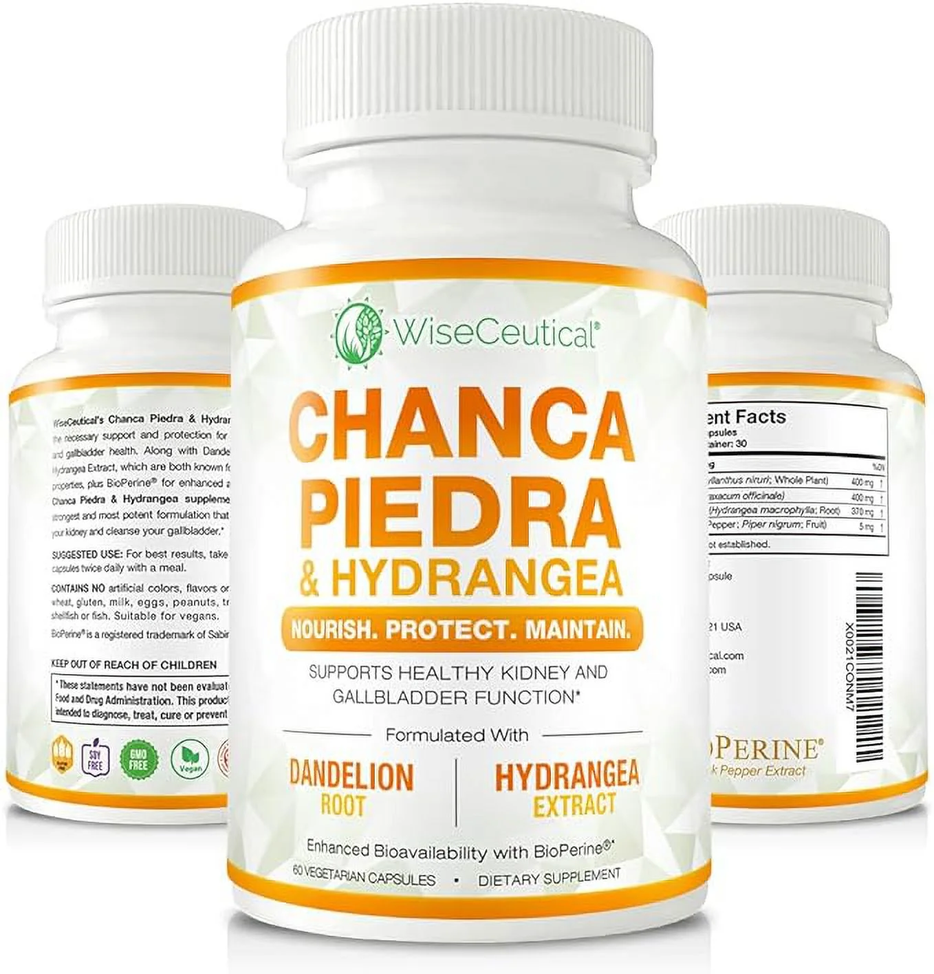 Max Strength Chanca Piedra, Hydrangea & Dandelion Root - Natural Kidney & Gallbladder Formula - Stone Breaker, Flush Impurities, Cleanse Urinary Tract - Enhanced with BioPerine. 60 Veggie Capsules.
