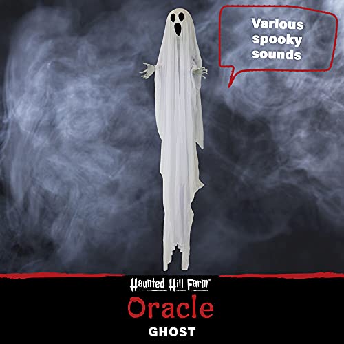 Haunted Hill Farm Life-Size 6-Ft Scary Talking Ghost Halloween Animatronic with Touch Activated Lights and Sound, Battery Operated Indoor or Covered Outdoor Decorations, Creepy Props