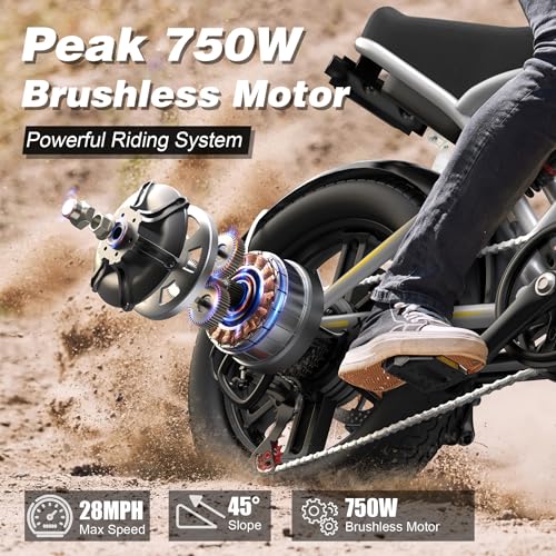 VARUN Electric Bike Peak 750W - 65+ Miles Long Range Electric Bike for Adults - Reaches 25MPH, 48V 13Ah Battery, Full Suspension, 7-Speed All-Terrain 20