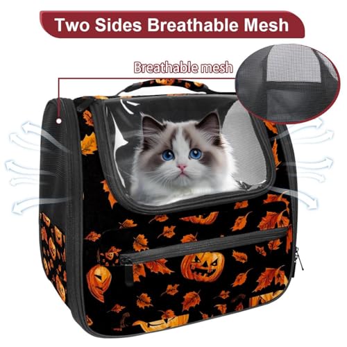 Halloween Pumpkin Pet Carrier Soft Sided Carrier for Small Medium Cats Dogs
