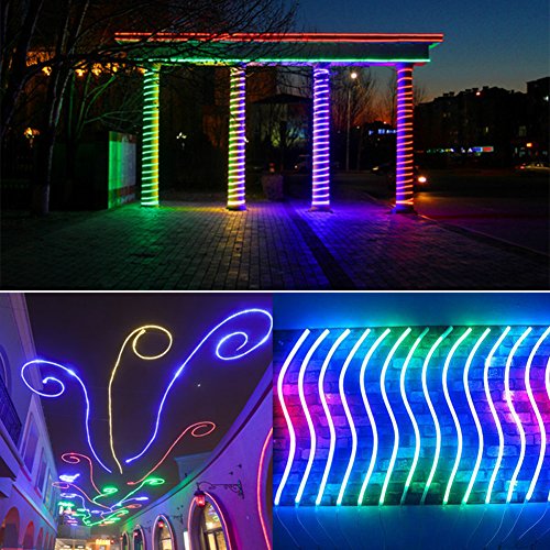 30ft LED RGB Rope Strip Light, AC 110-120V 60 LEDs/M SMD 5050 Touch Remote Control Multi-Color Changing Waterproof Flexible Strip Lights for Indoor Outdoor Christmas Decoration