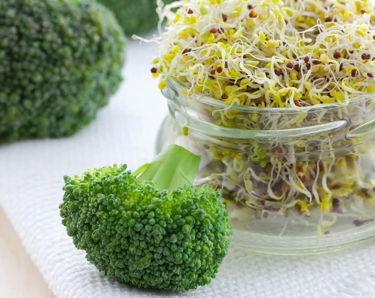 Food to Live, Broccoli Sprouting Seeds, 5 Pounds, Kosher, Sproutable