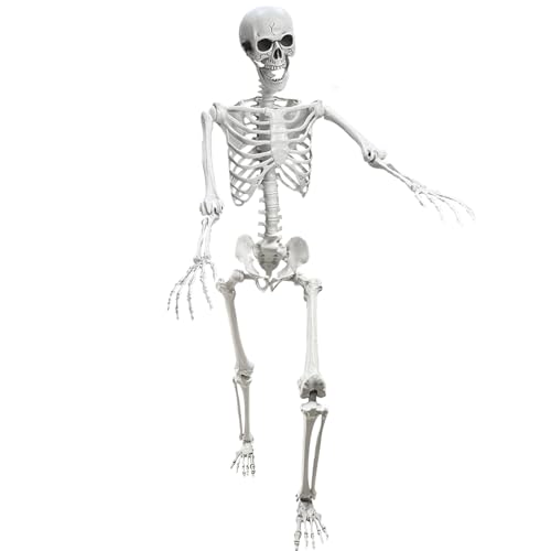 Lodou 5.4Ft Posable Life Size Human Adult Skeletons Plastic Human Bones with Movable Joints for Halloween Decoration