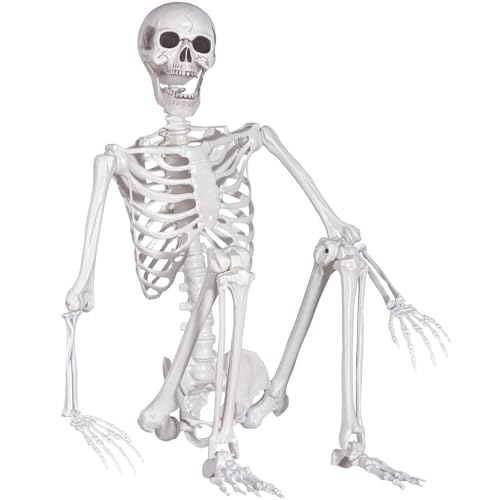 Halloween Skeleton, Realistic Life Size Skeleton with Movable Joints for Halloween Party Haunted House Indoor Outdoor Decoration (5.9ft-1P)