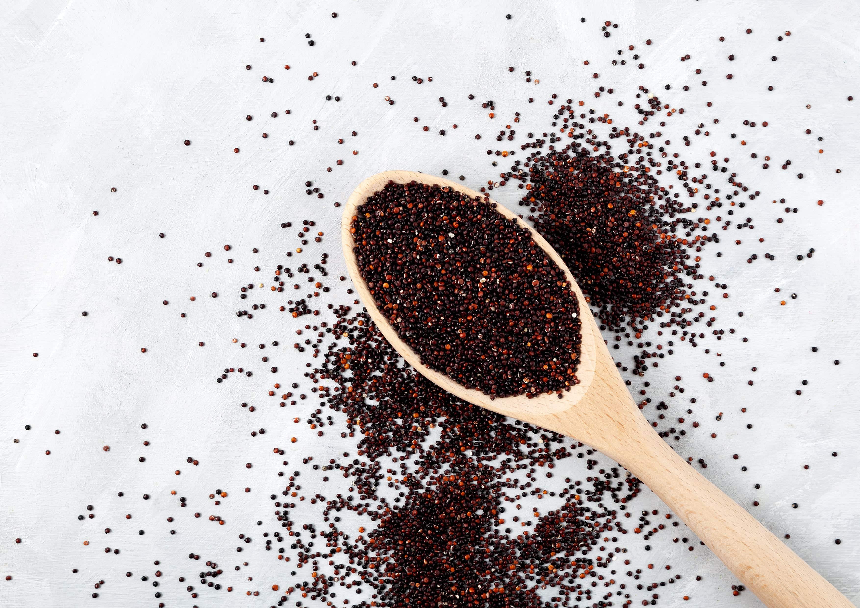 Black Quinoa, 10 Pounds — Raw, Sproutable — by Food to Live