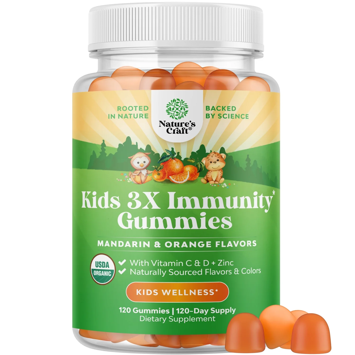 Organic Kids Immune Support Gummies - Vegan Organic Vitamin D Gummies for Kids with Vitamin C and Zinc for Kids Immunity - D3 Zinc and Vitamin C Gummies for Kids - Gluten Free & Non GMO (120 Servings)