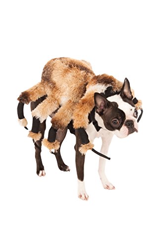 Rubie's Giant Spider Pet Costume, X-Large