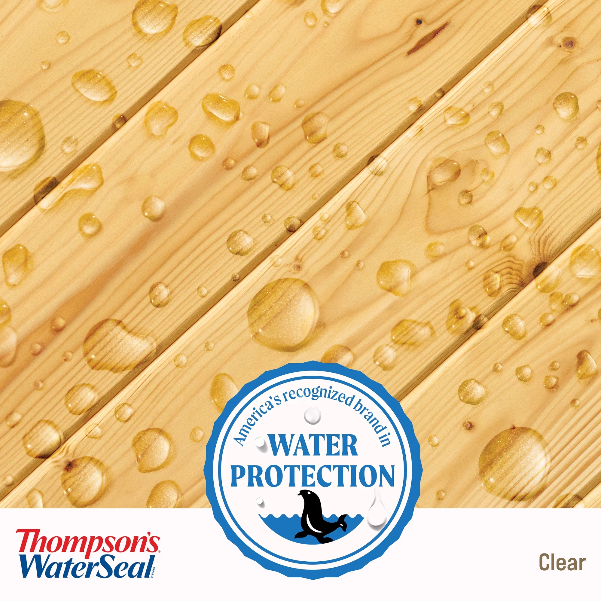 Thompson's WaterSeal Clear Wood Sealer, Clear, 5 Gallon