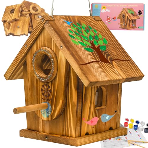 Bird Houses for Outside,DIY Kit for Adults & Kids,Solid Mortise & Tenon Structure,Carbonized for Durability and Aesthetic Appeal,Easy to Clearance,Paint Kit Included