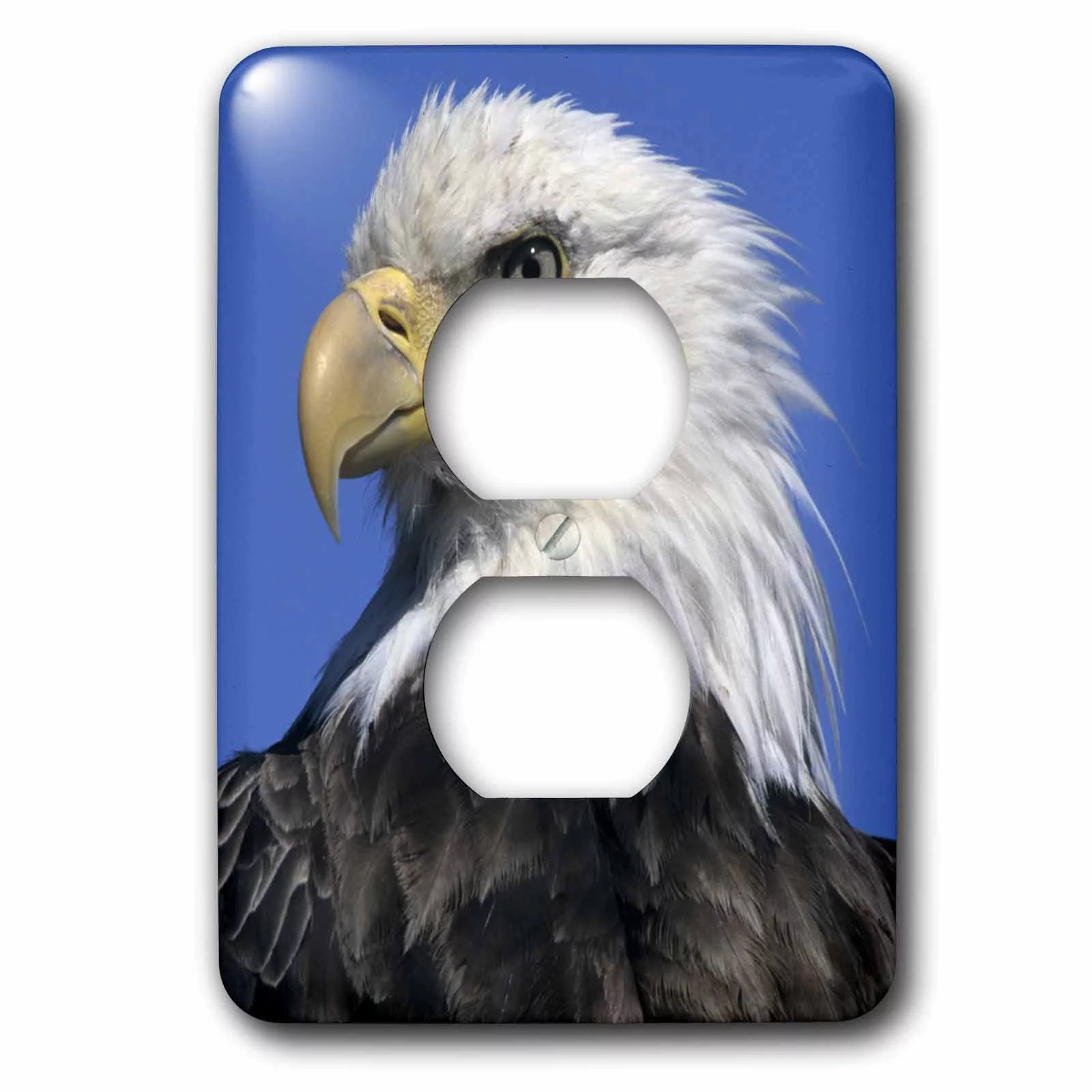 3dRose Bald Eagle, Unalaska Island, Aleutians, Alaska - US02 KSC0024 - Kevin Schafer - 2 Plug Outlet Cover