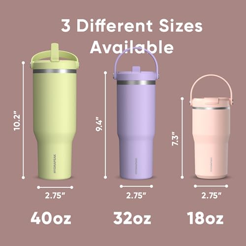 Hydrapeak Nomad 24 oz Tumbler with Handle and Straw Lid, Leakproof, Double Insulated, 24oz Cup Stainless Steel (Blush)