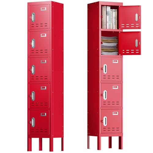 Locker Metal Storage Cabinet, Steel Office Storage Lockable Lockers for Employees Kids School Gym Home Garage Locker with Mirror & Hooks (5 Doors, Blue)