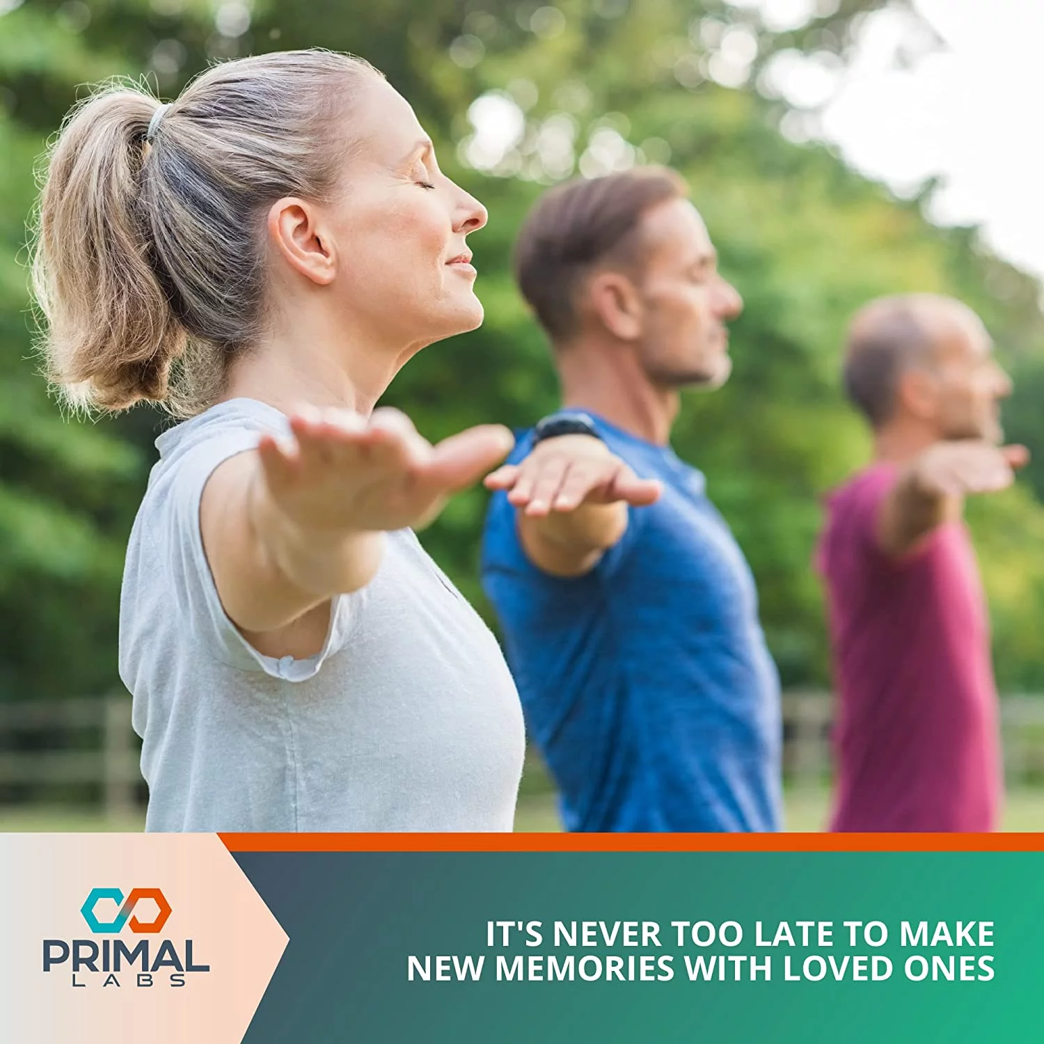 Primal Labs BioMeric Advanced with Turmeric Curcumin and Wasabi Extracts - 60 Capsules