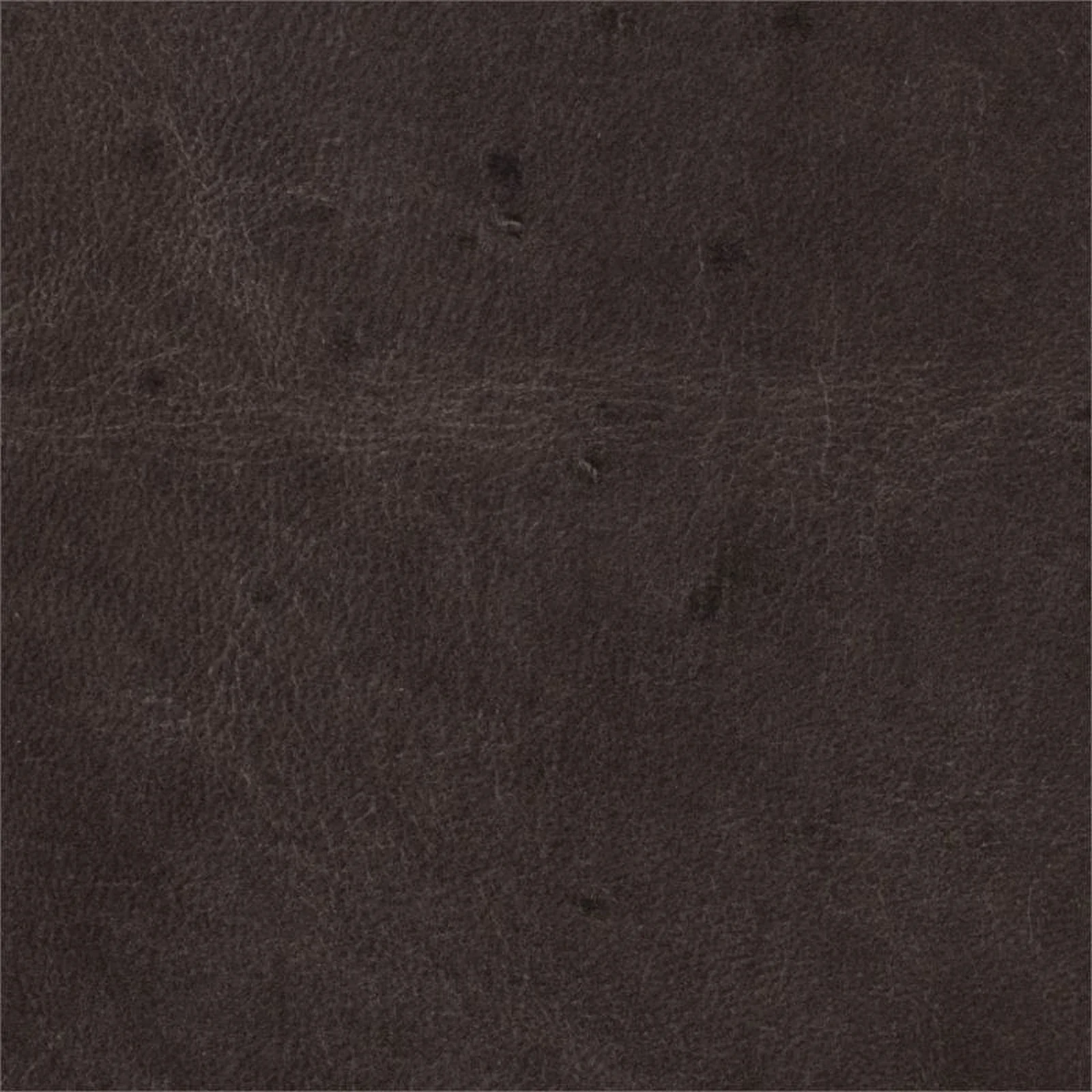 Beaumont Lane 18'' Traditional Leather Wing Club Chair in Dark Brown