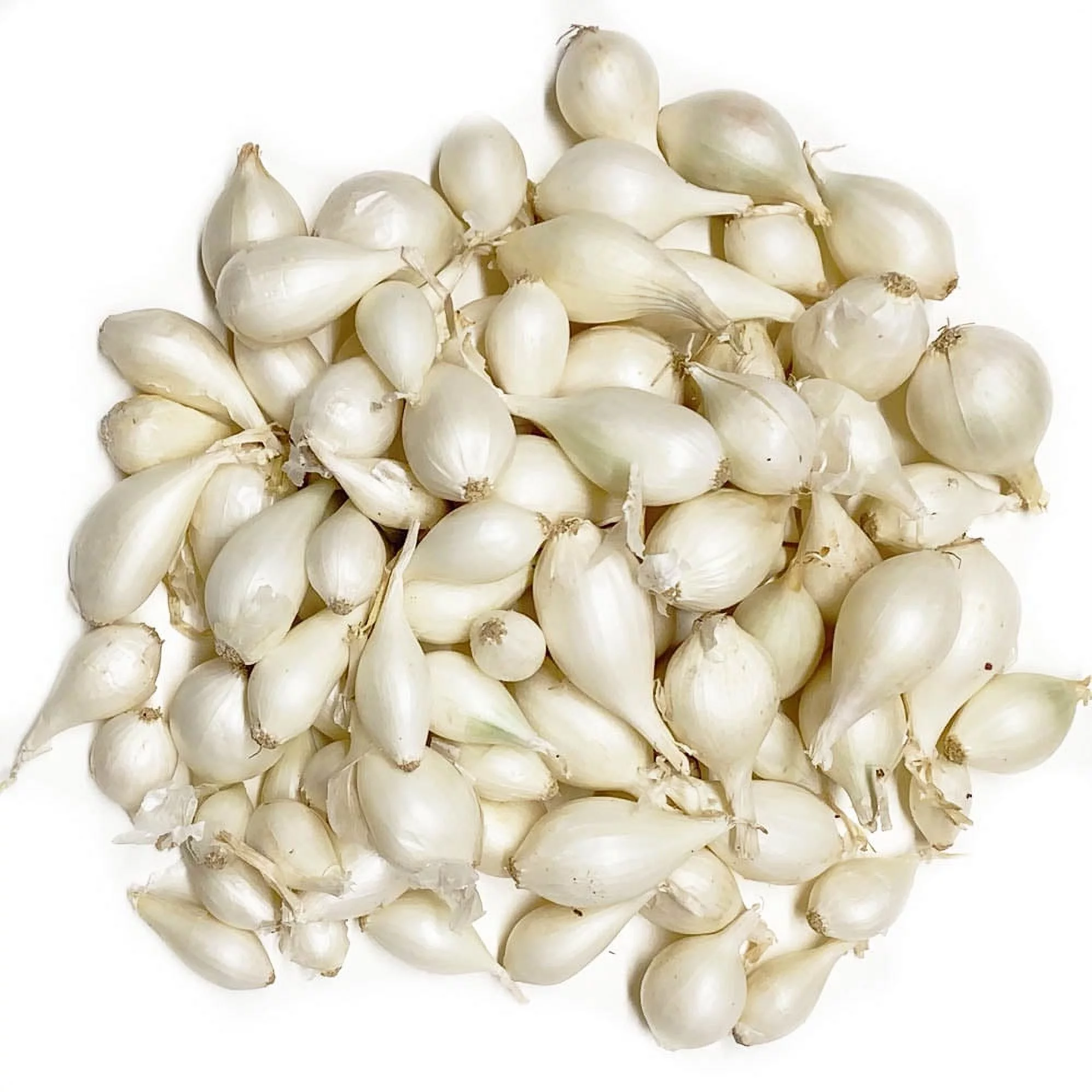 White Onion Sets - 100 bulbs for planting - Grow white onions or green onions in your home garden