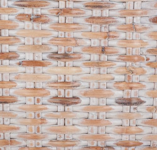 SAFAVIEH Home Collection Leary Coastal Natural White Wash Coffee Table