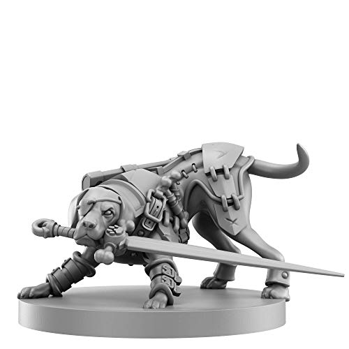 Animal Adventures: Starter Set - Beginners Roleplaying Tabletop Game 5E Compatible