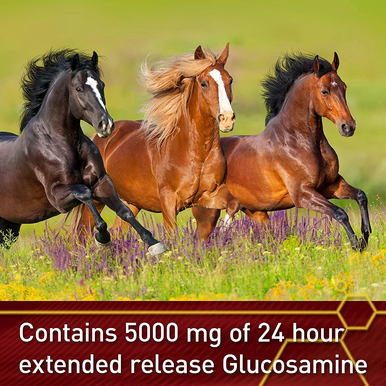 Vita Flex Equinyl Combo Joint Supplement 60 Day Supply (Pack of 1)