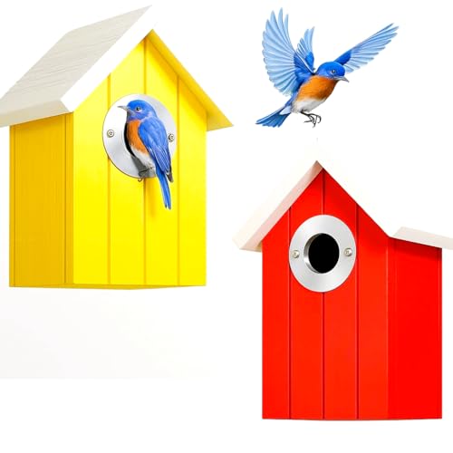 2PK Cedar Bluebird Bird Houses for Outside Clearance, Birdhouse for Outdoor, 1.5
