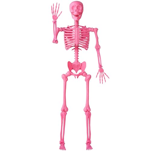 JOYIN 5.6 FT Halloween Posable Life Size Skeleton, Full Body Realistic Bones with Movable Joints, Giant Skeletons Halloween Decorations for Indoor Outdoor Haunted House Props, Spooky Scene Party Decor