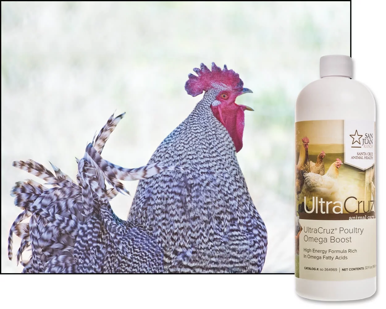 UltraCruz Poultry Omega Boost Supplement, 32 oz