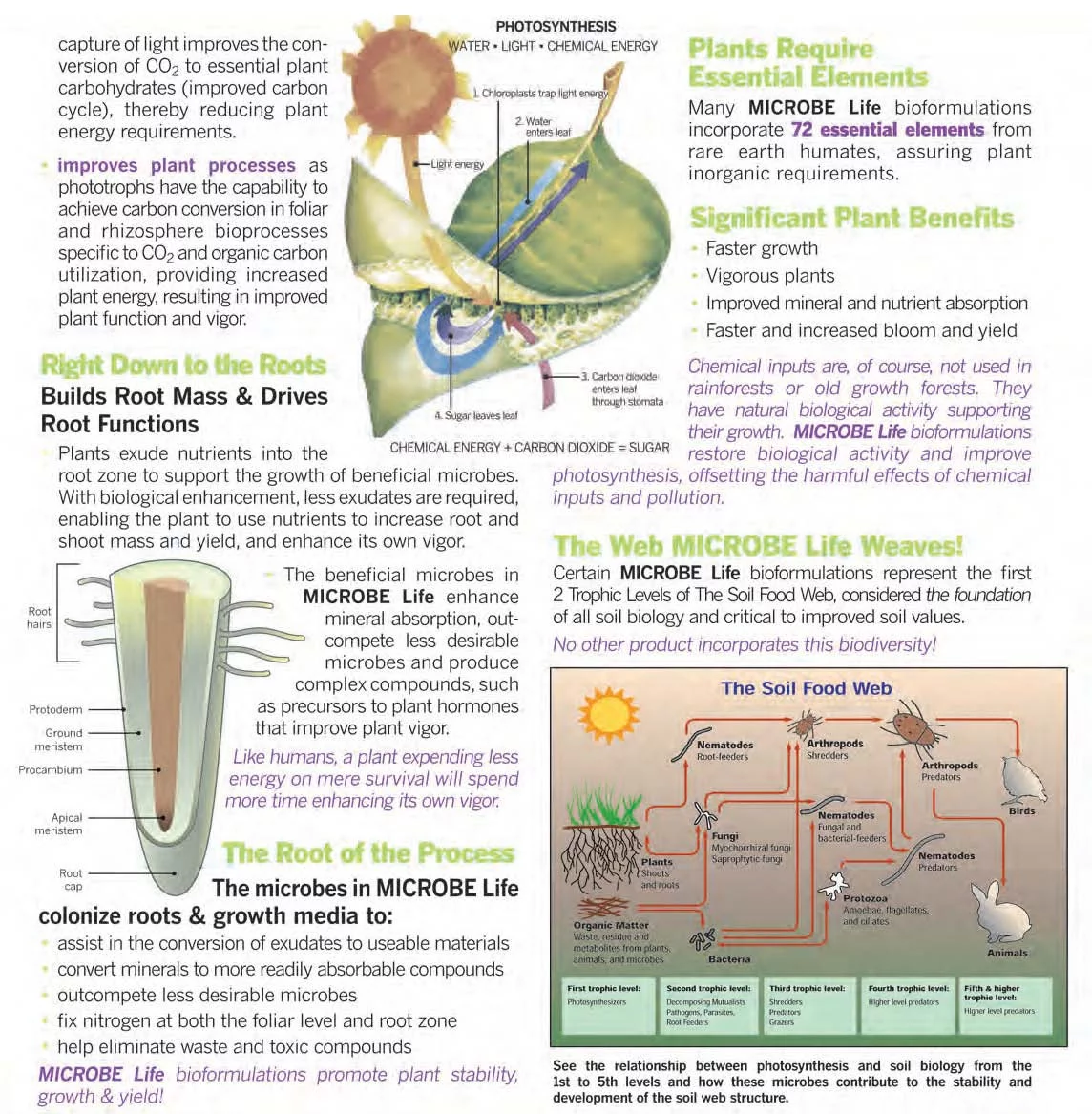 Microbe Life Photosynthesis Plus Pint