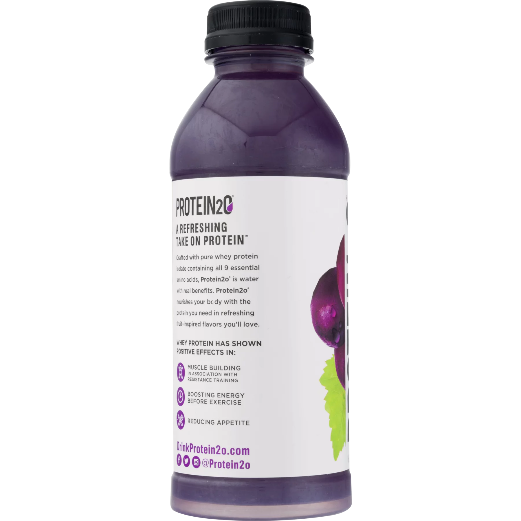 Protein2o 15g Whey Protein Infused Water, Harvest Grape, 16.9 oz Bottle (1 Count)