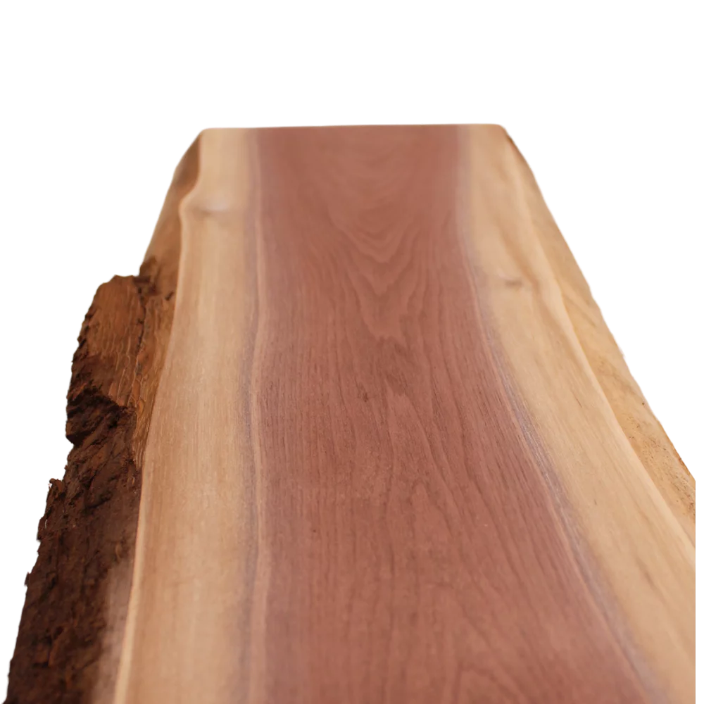 Live Edge Walnut Slab