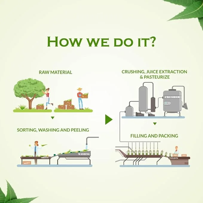 Axiom Brahmi Panchang Juice 500 ml pack of 2 | Ayurvedic Juice | WHO-GLP,GMP,ISO Certified Product