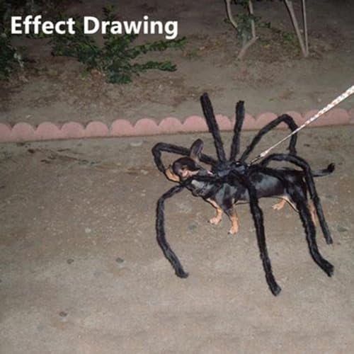 Halloween Pet Attire, Cross Dressing Sets, Dog Clothing, Cat Accessories (XX-Large, Spider-Long Legs)