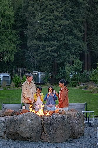 Stanley GO Everyday Wine Tumbler 10 oz | Press Fit Drink Through Lid | Beverage, Coffee, and Cocktail Cup | Insulated Stainless Steel Wine Glass | BPA-Free | Ash