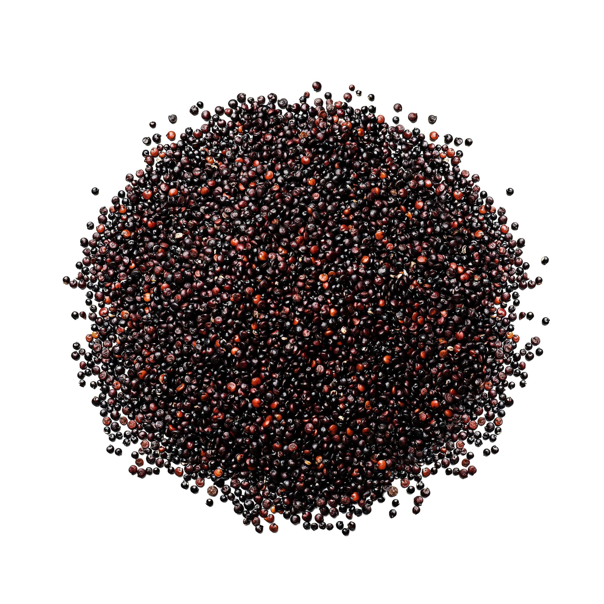Black Quinoa, 10 Pounds — Raw, Sproutable — by Food to Live