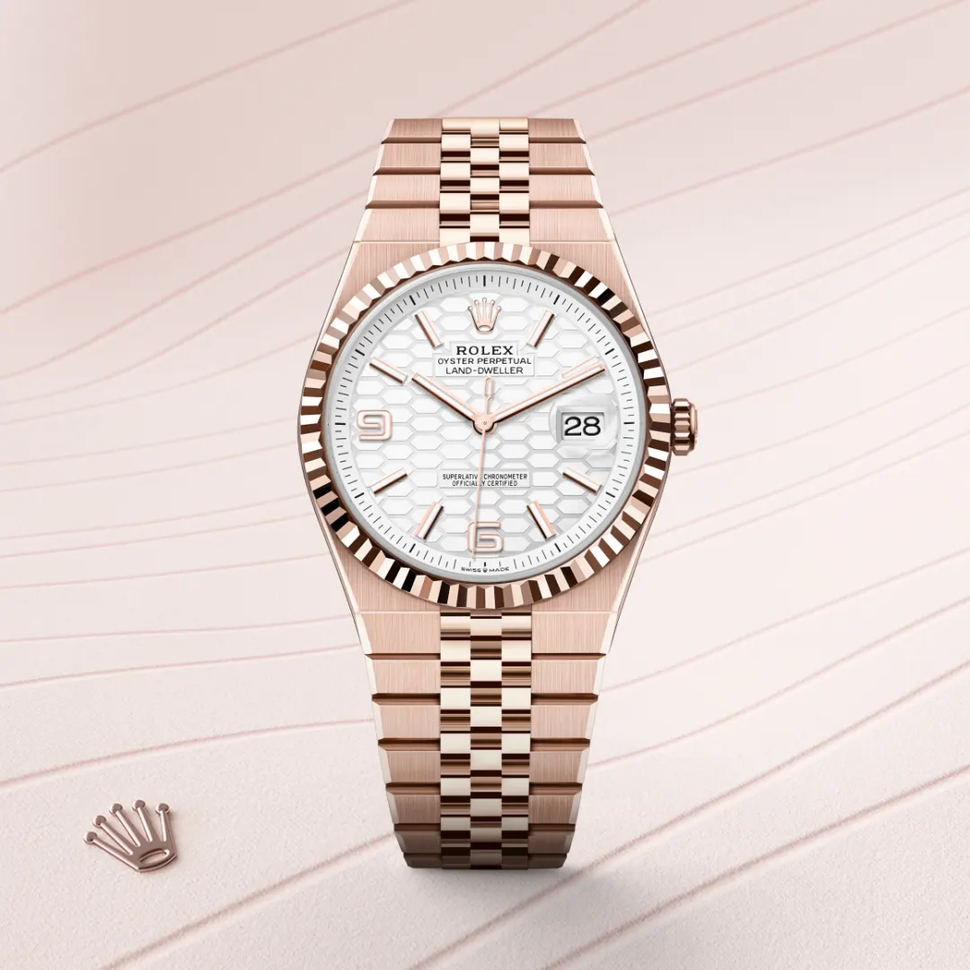 Rolex Land-Dweller 36 Intense White